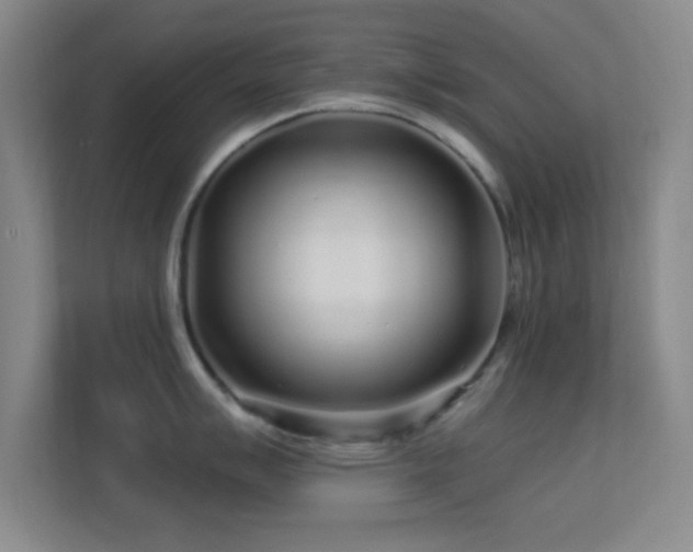 X0000113581007200909251151