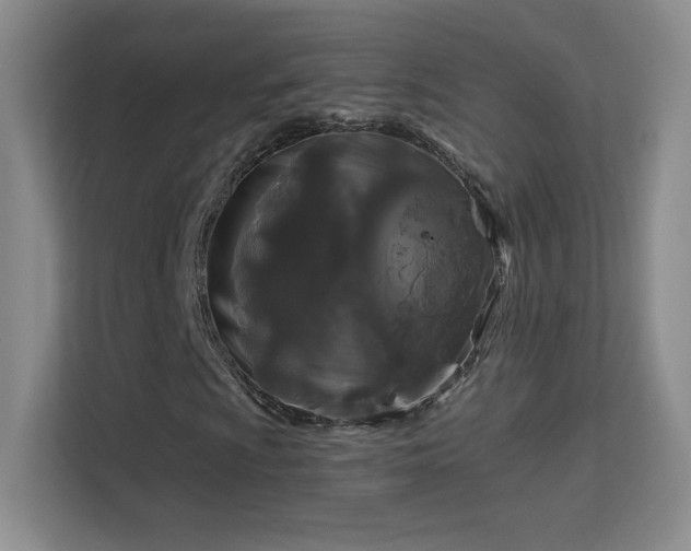 X0000113581009200909251150