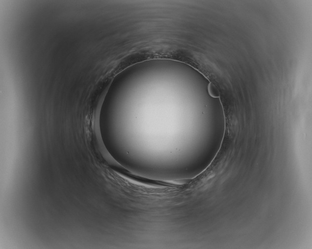 X0000113581010200909251151