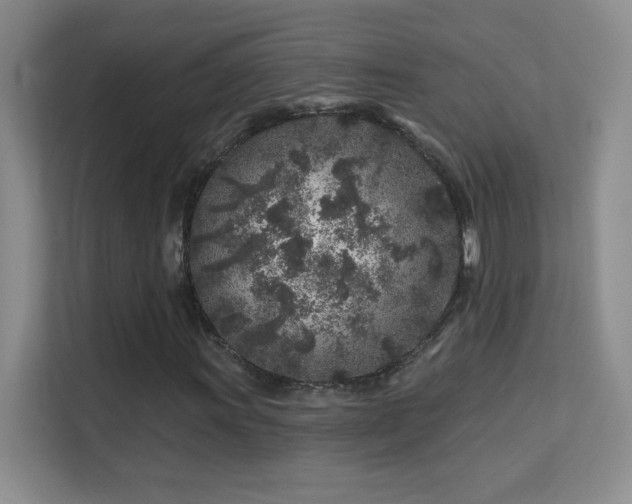 X0000113581011200909251151