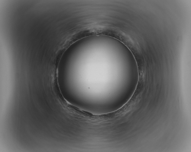 X0000113581012200909251151