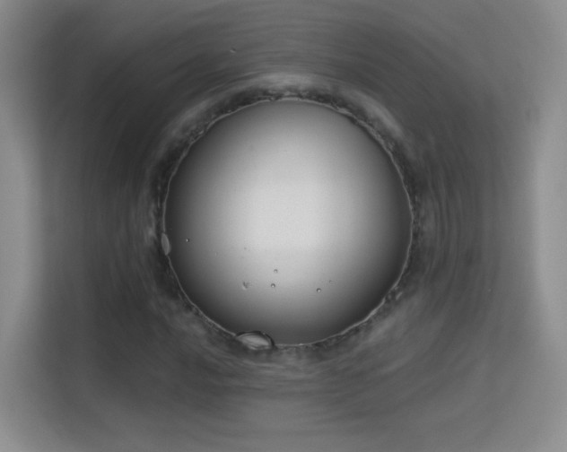 X0000113581016200909251151