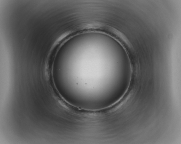 X0000113581018200909251151