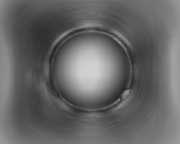 X0000113581021200909251151