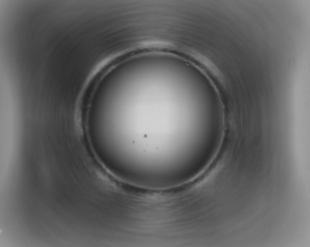 X0000113581022200909251151