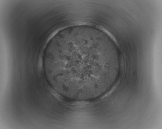 X0000113581023200909251151