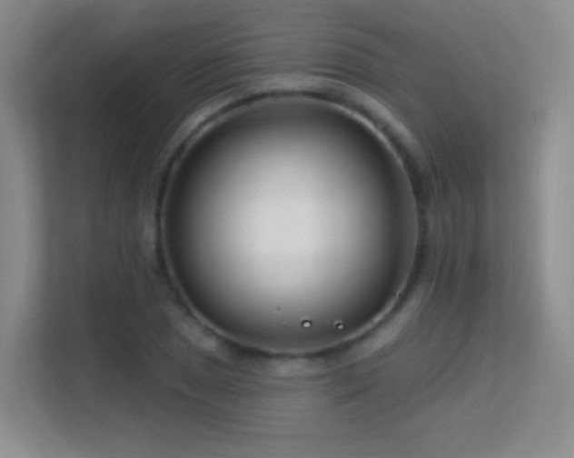 X0000113581025200909251151