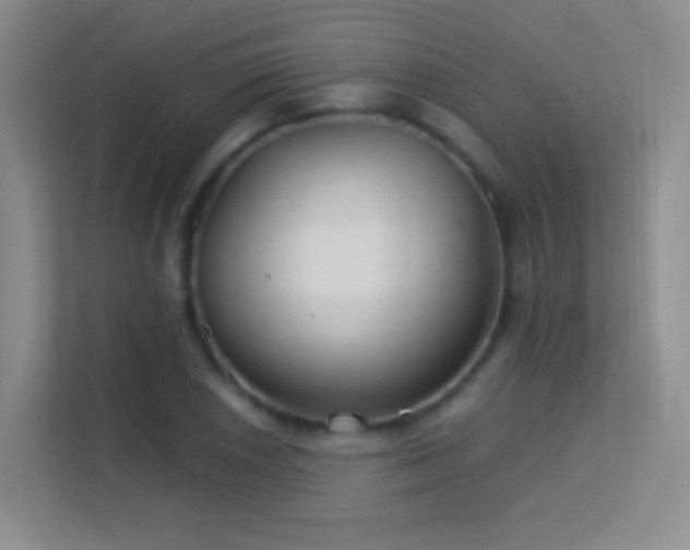 X0000113581026200909251151