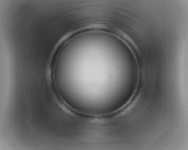 X0000113581029200909251151