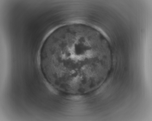 X0000113581031200909251151