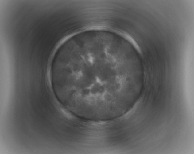 X0000113581035200909251151