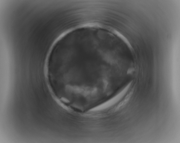 X0000113581037200909251151