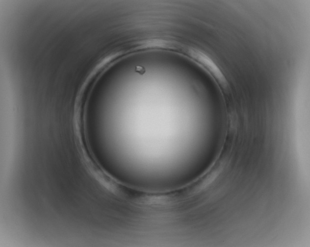 X0000113581043200909251151