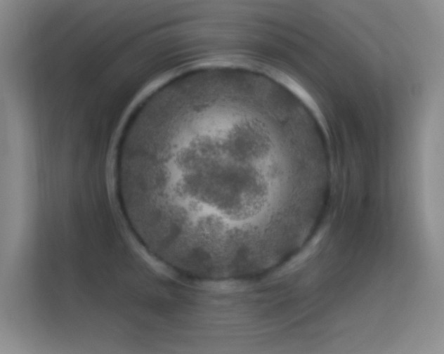 X0000113581045200909251151