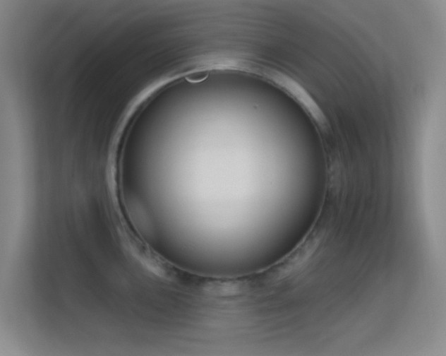 X0000113581051200909251151