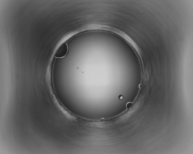 X0000113581053200909251151