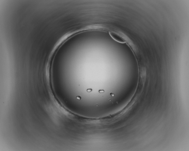 X0000113581054200909251151