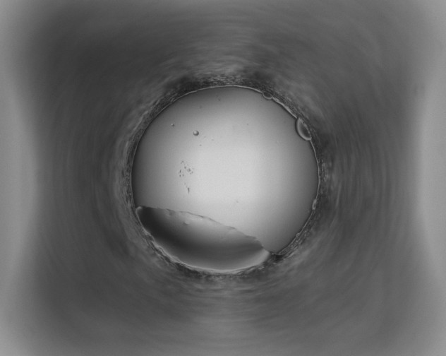 X0000113581057200909251150