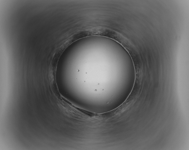 X0000113581058200909251150