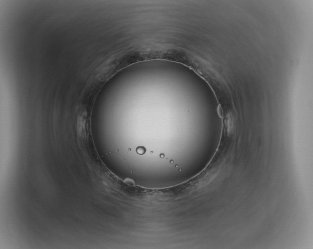 X0000113581059200909251150