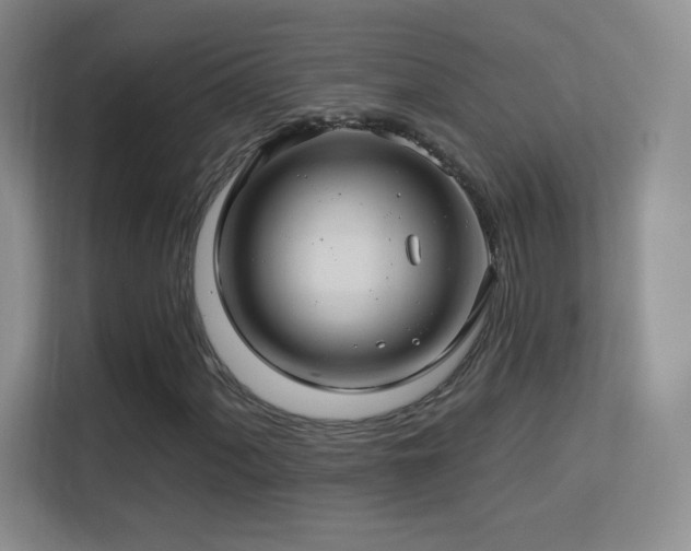 X0000113581060200909251150