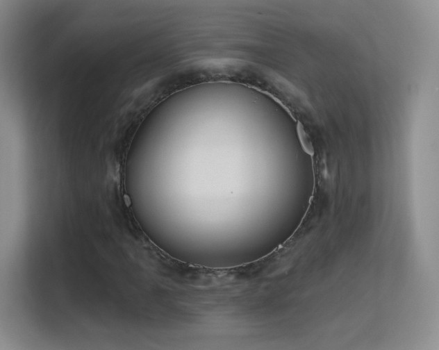 X0000113581061200909251150