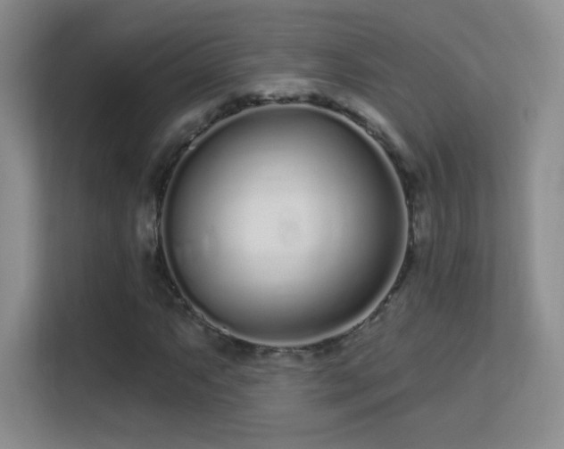 X0000113581063200909251150