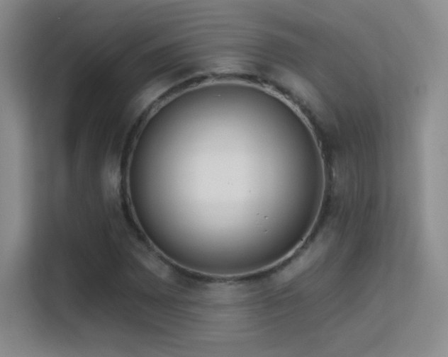 X0000113581065200909251150