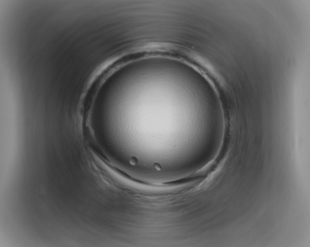 X0000113581066200909251150