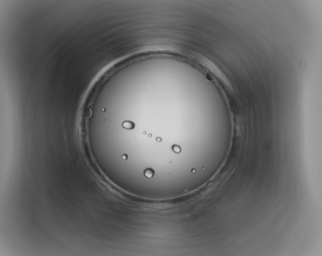 X0000113581068200909251150