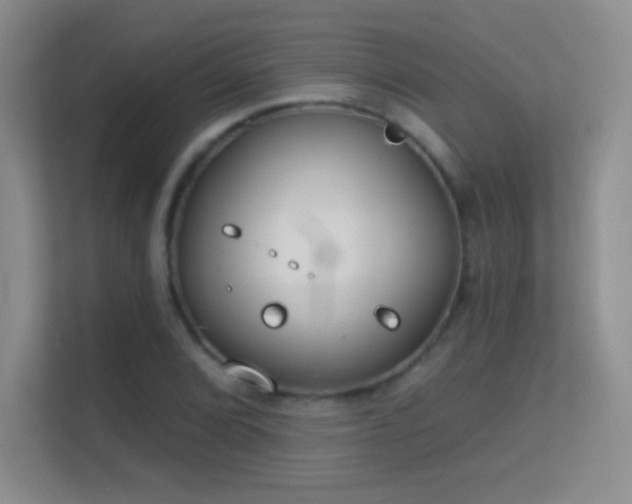 X0000113581072200909251150