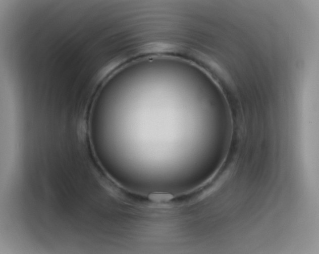 X0000113581073200909251150