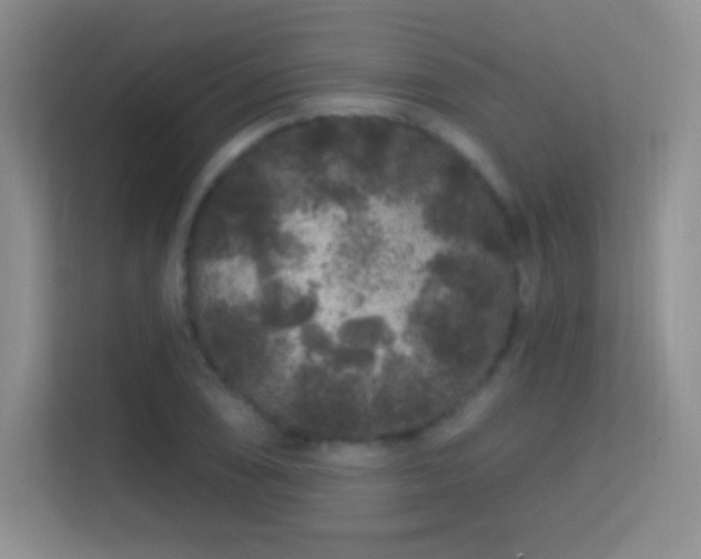 X0000113581074200909251150