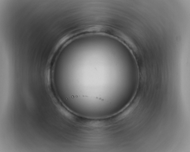 X0000113581075200909251150