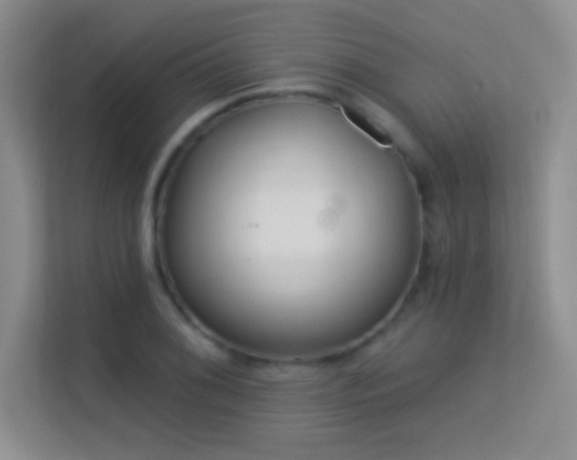 X0000113581076200909251150