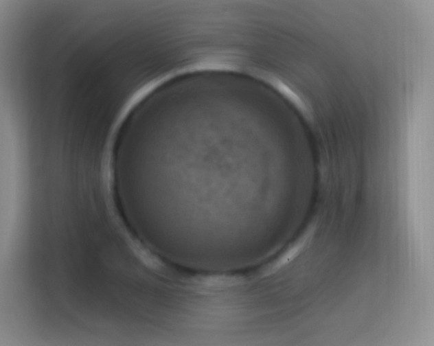 X0000113581077200909251150