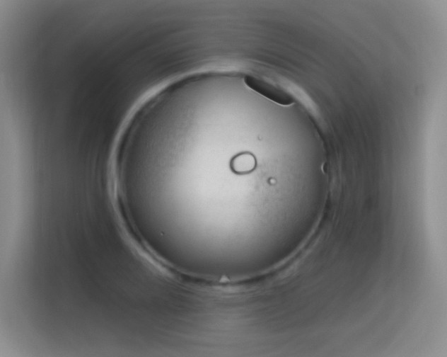 X0000113581080200909251150