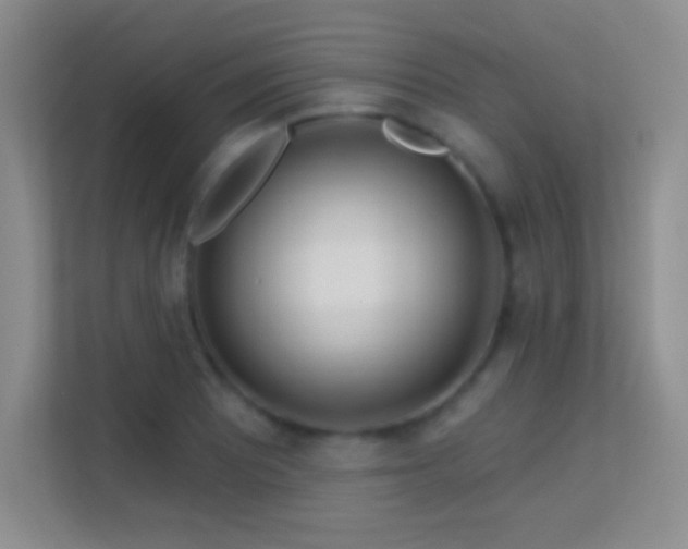 X0000113581081200909251150