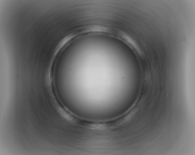 X0000113581082200909251150