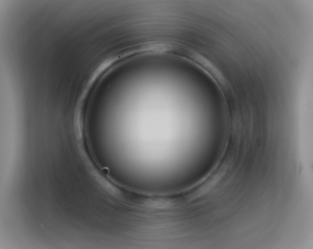 X0000113581083200909251150