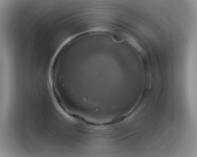 X0000113581084200909251150