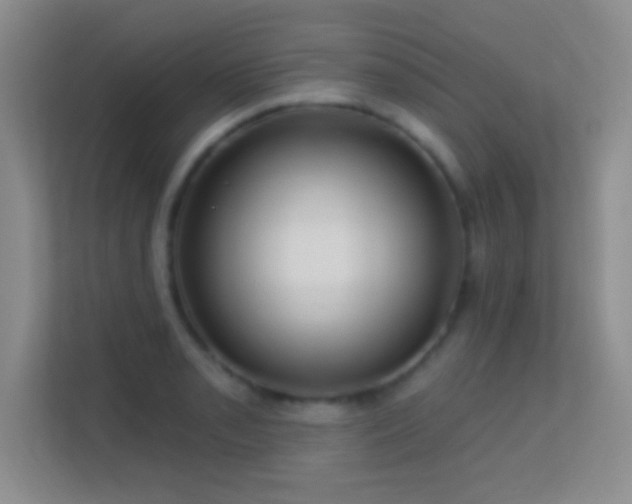 X0000113581085200909251150