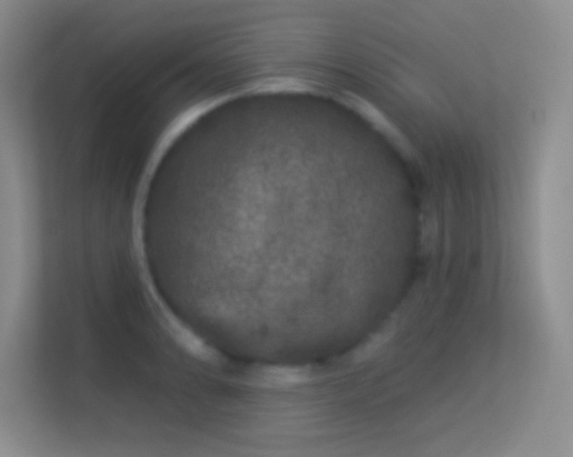 X0000113581086200909251150