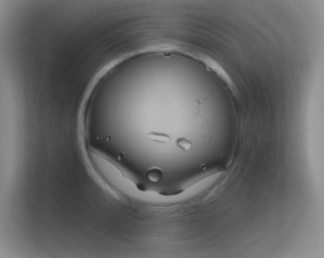 X0000113581088200909251150