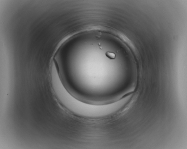 X0000113581089200909251150