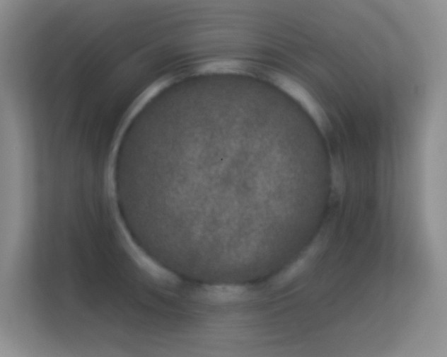 X0000113581090200909251150