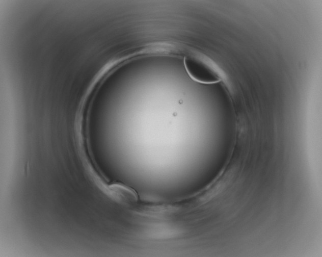 X0000113581091200909251150