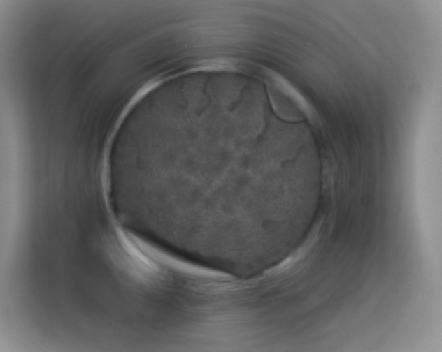 X0000113581095200909251150