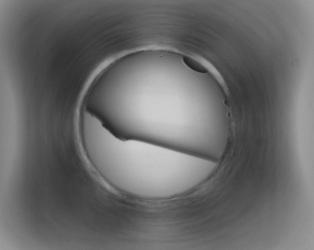 X0000113581096200909251150