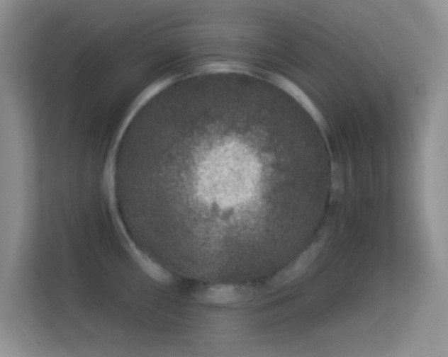 X0000113581098200909251150